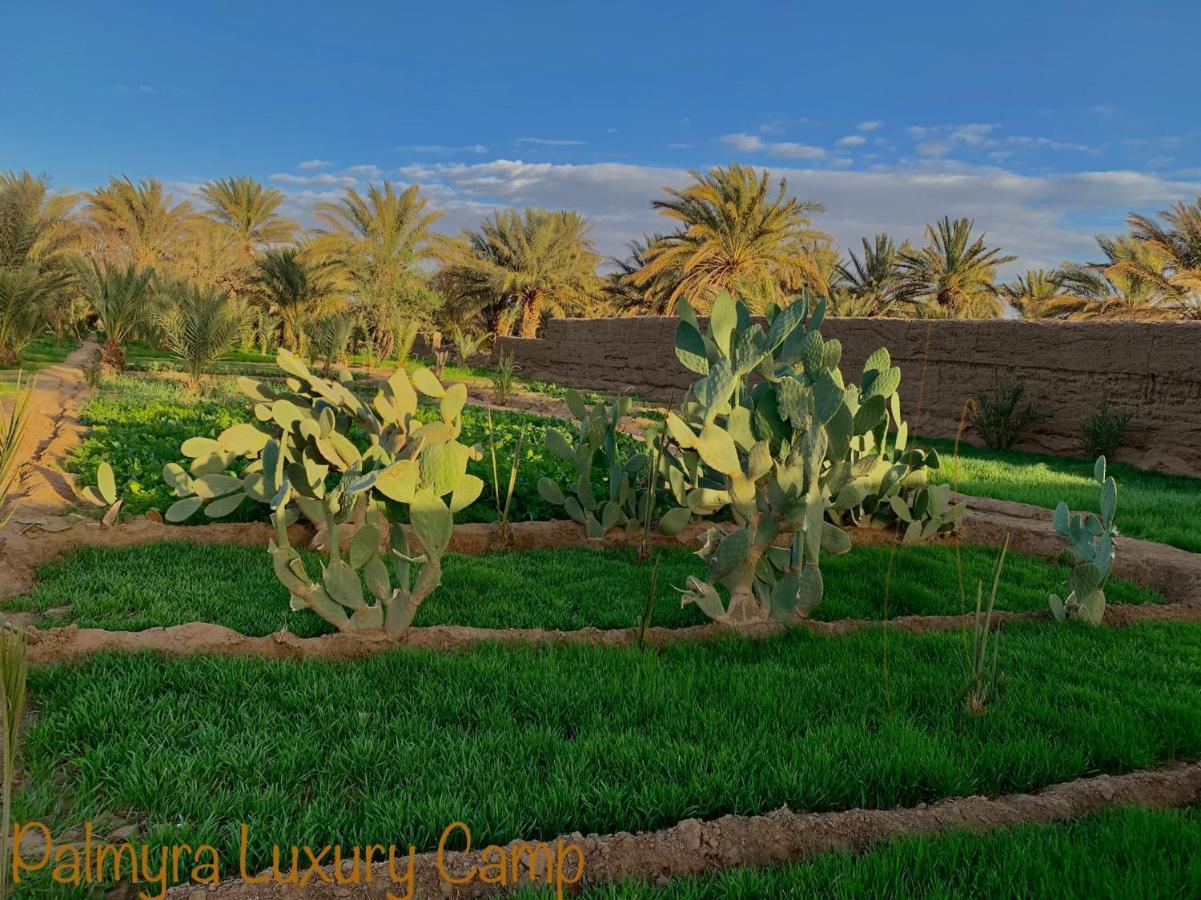 Palmyra Luxury Camp Otel Merzouga Dış mekan fotoğraf